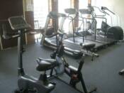 Cardio Equipment